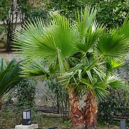 Vila Les Cades Sainte-Maxime