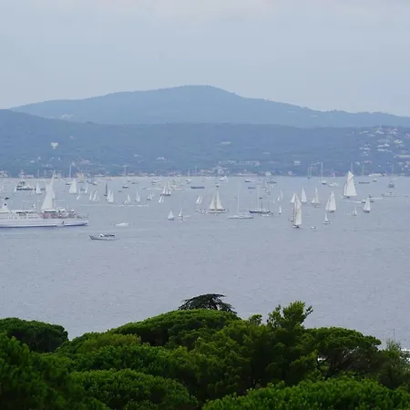 Les Cades Willa *